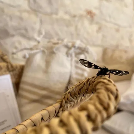 Masseria Morrone Farma