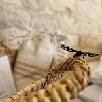 Masseria Morrone Agroturismo