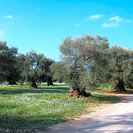 农家乐 Masseria Morrone *