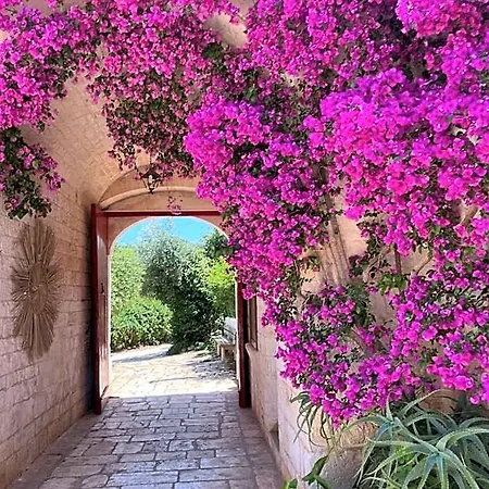 Masseria Morrone 奥斯图尼