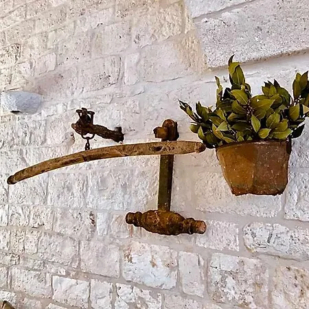 Masseria Morrone 农家乐