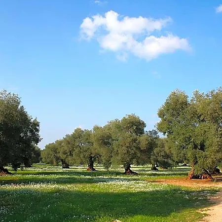 Masseria Morrone