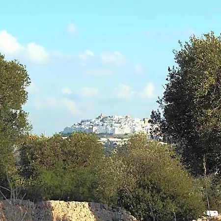 Masseria Morrone 农家乐