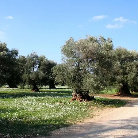 Masseria Morrone *