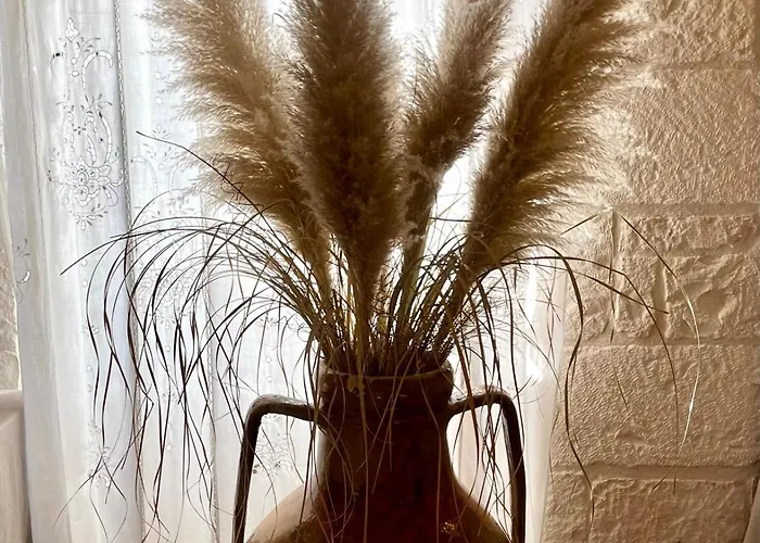 Masseria Morrone בית חווה אוסטוני